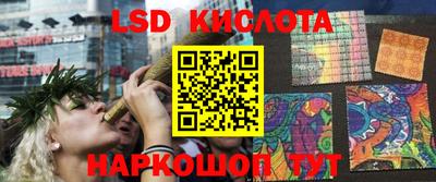 стаф Долгопрудный