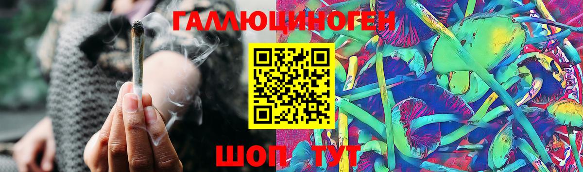Псилоцибиновые грибы Psilocybe  Вход с VPN  Батайск 