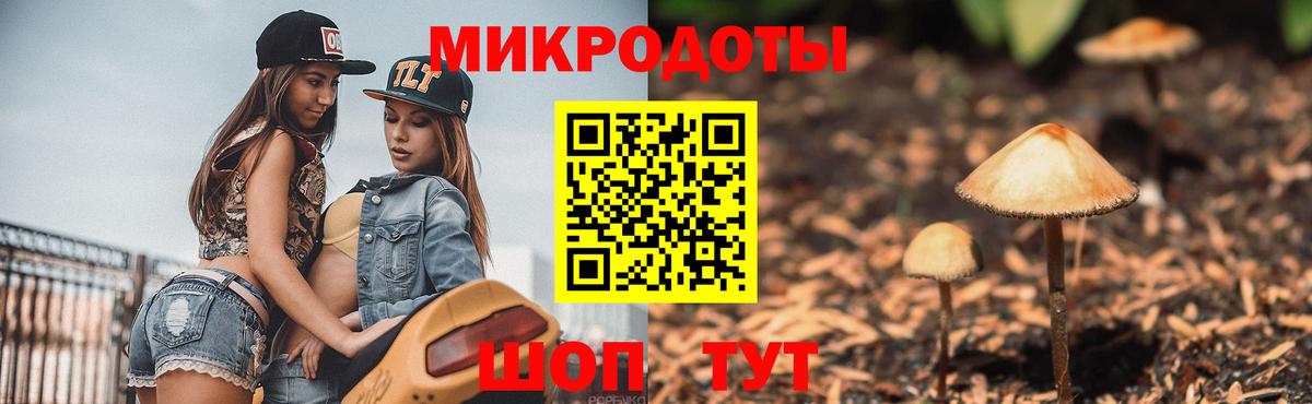 МЕФ Батайск